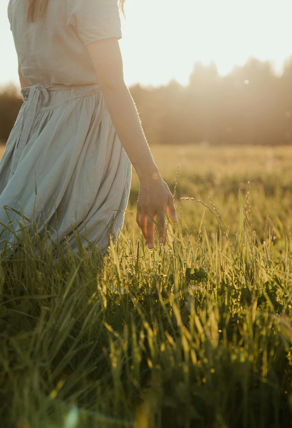 Royal Wings Hotel Galeri - 8